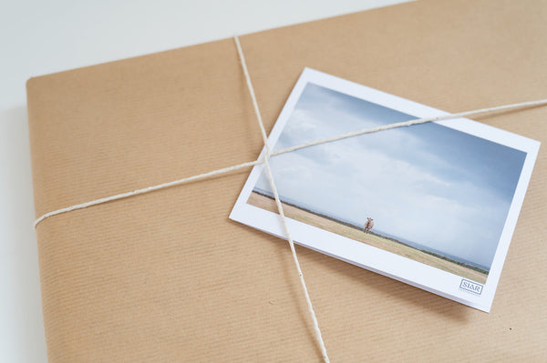 Gift wrapped in brown paper & twine, with greeting card on top. Card has a photograph of a lone cow in a field on the front. 